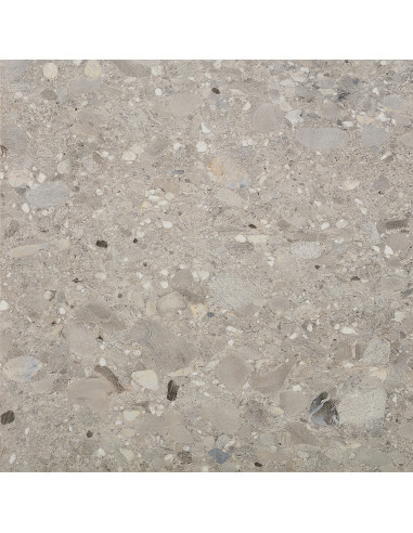 Carrelage CEPPO DI GRES GRIGIO - 60x60cm
