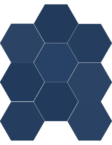 Carrelage hexagonal CHICAGO EXA ROYAL - 21.5x25cm