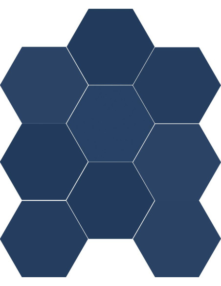 Carrelage hexagonal CHICAGO EXA ROYAL - 21.5x25cm