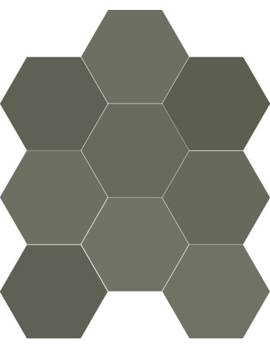 Carrelage hexagonal CHICAGO EXA ROYAL - 21.5x25cm