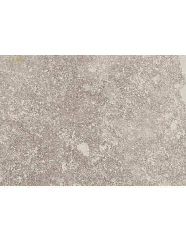 Carrelage inspiration  pierre Always 100x100cm