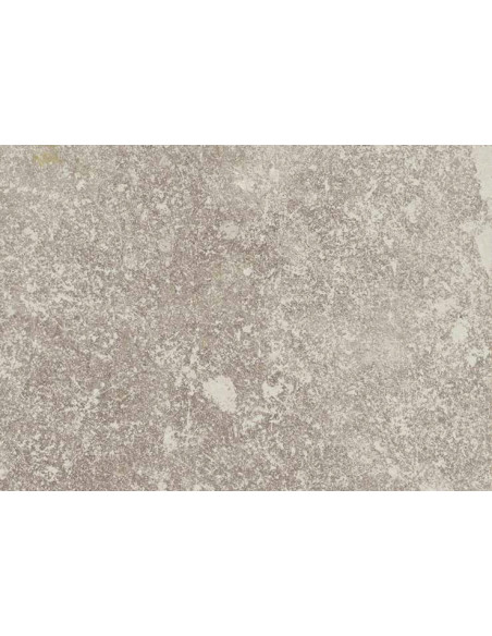 Carrelage inspiration  pierre Always 100x100cm