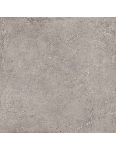 Carrelage inspiration pierre Evolution 100x100cm