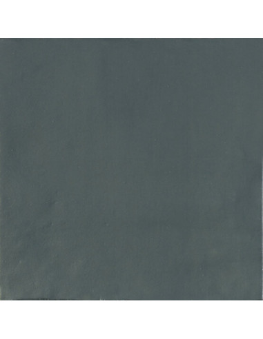 Carrelage Delight 13.8x13.8cm