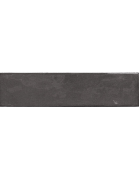 Carrelage Fayenza 6x24.6 cm