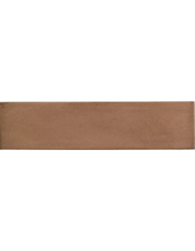 Carrelage Fayenza 6x24.6 cm