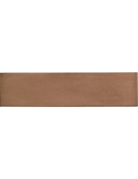 Carrelage Fayenza 6x24.6 cm