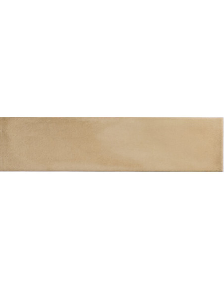 Carrelage Fayenza 6x24.6 cm