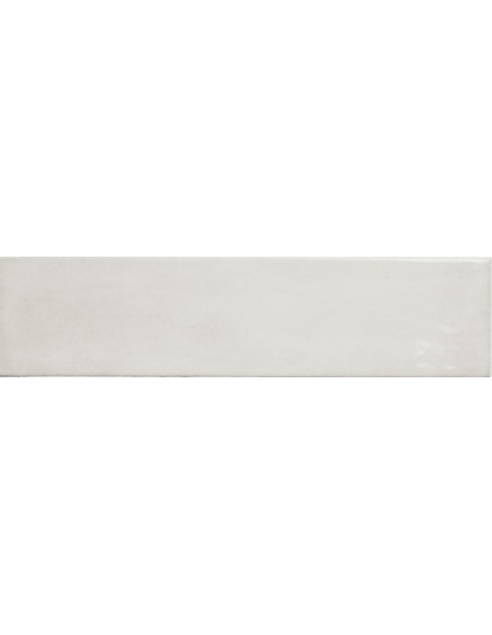 Carrelage Fayenza 6x24.6 cm
