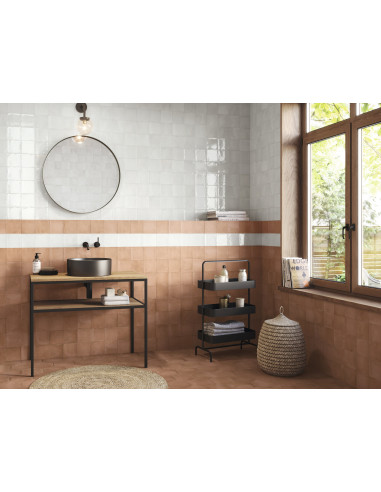 Carrelage Fayenza 6x24.6 cm