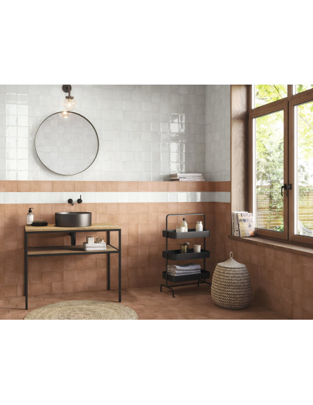 Carrelage Fayenza 6x24.6 cm