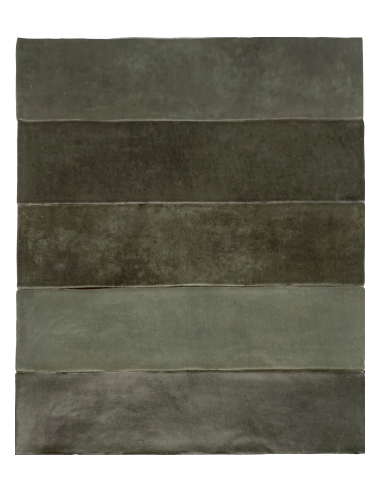 Carreaux Collection Atelier 6.2x25cm