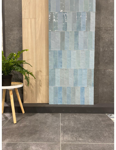 Carreaux Collection Atelier 6.2x25cm