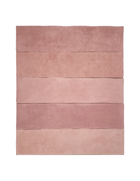 Carreaux Collection Atelier 6.2x25cm