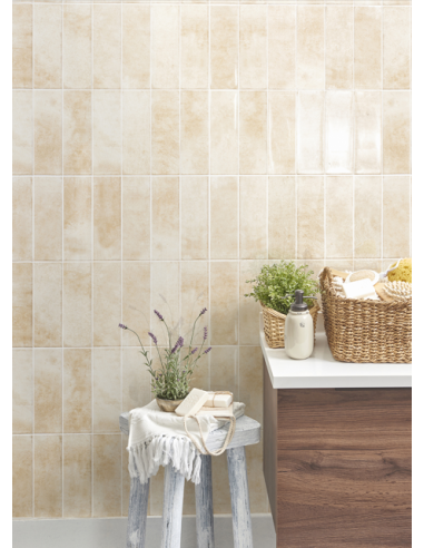 Carrelage TITAN 10x30cm